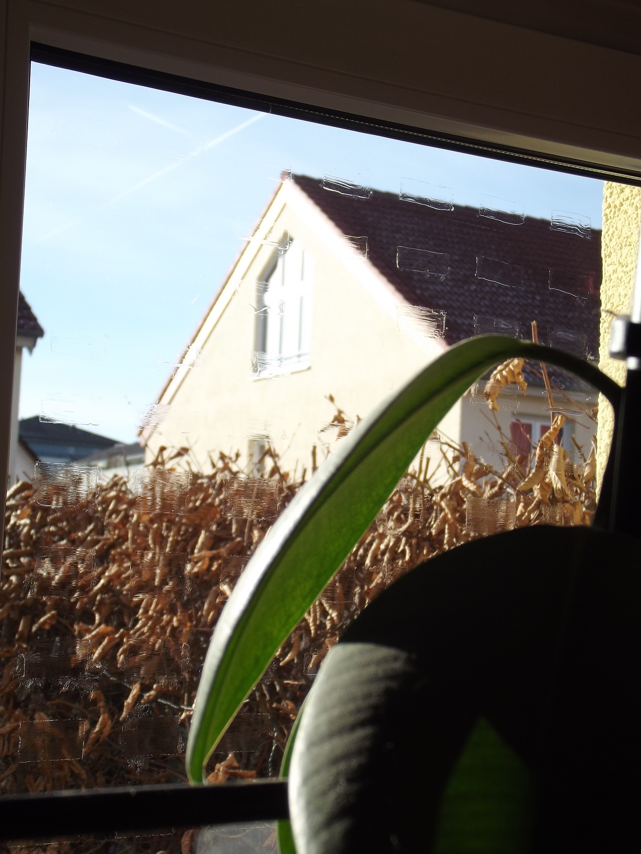 Vogelschutz-Filzstift, Muster am Fenster, außen
